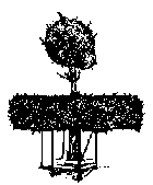De Linde, het symbool van de Olense heemkring